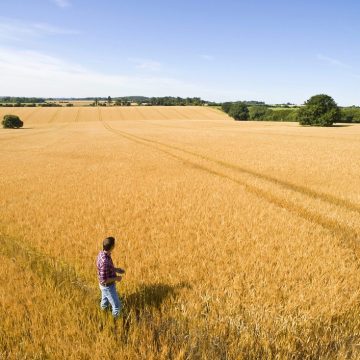 corteva agriscience_boosting romanian farmers productivity in cereal crops Creșterea productivității fermierilor români în culturile de cereale prin strategii inovatoare