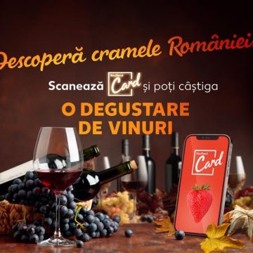 „Descoperă cramele României”. Campanie Kaufland cu experienţe de degustare a vinurilor româneşti