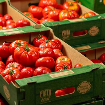 Calitate garantată: roșii românești testate, în magazinele Lidl