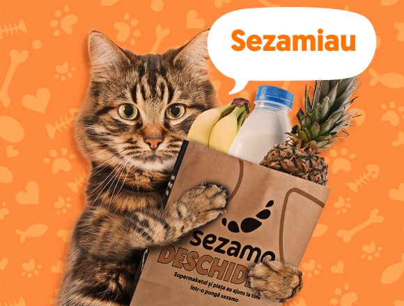 Sezamiau Pisicile domină achizițiile din pet shop-ul supermarketului online Sezamo, reprezentând 77% din vânzările categoriei