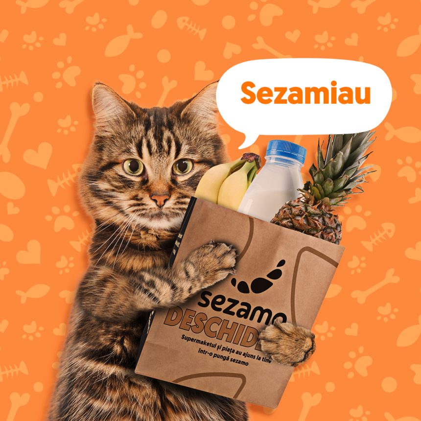 Sezamiau Pisicile domină achizițiile din pet shop-ul supermarketului online Sezamo, reprezentând 77% din vânzările categoriei