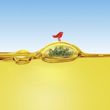 Peste 1,3 milioane de români au adus uleiul uzat la Auchan: peste 1,6 milioane de litri de ulei au fost transformați în biocombustibil