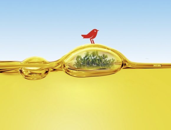 Peste 1,3 milioane de români au adus uleiul uzat la Auchan: peste 1,6 milioane de litri de ulei au fost transformați în biocombustibil