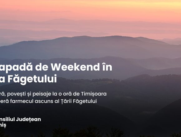 Visit Timiș recomandă: