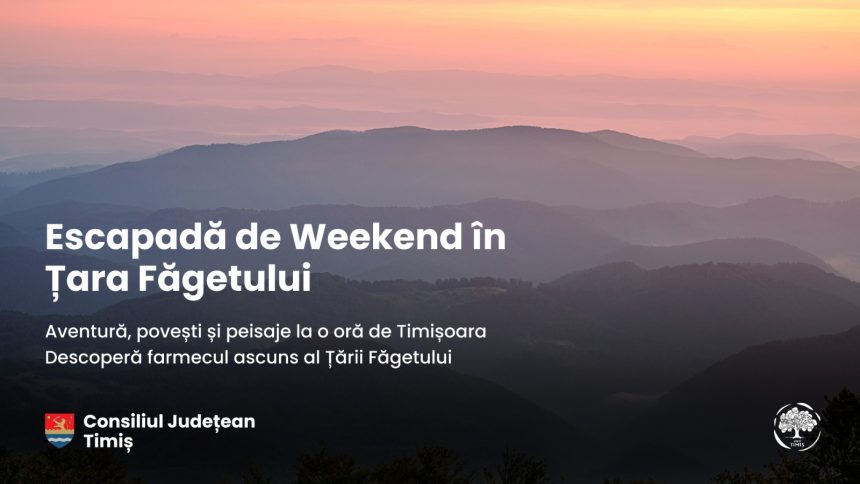 Visit Timiș recomandă: