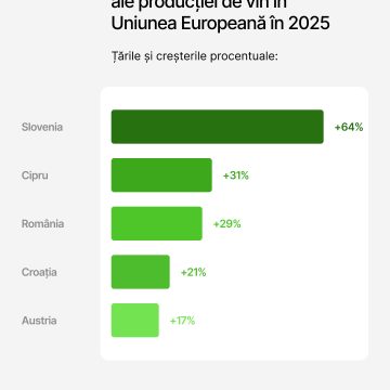 Producția globală de vin a crescut cu 3% în 2025, vinul românesc, cu 29%
