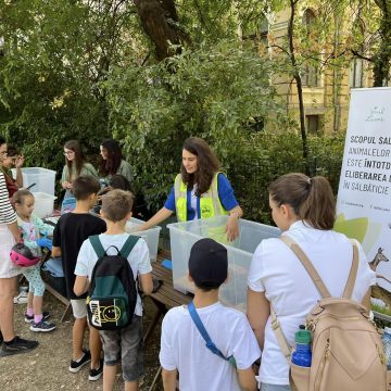 PENNY sprijină proiecte de biodiversitate urbană prin Runda IV a Platformei de mediu pentru București