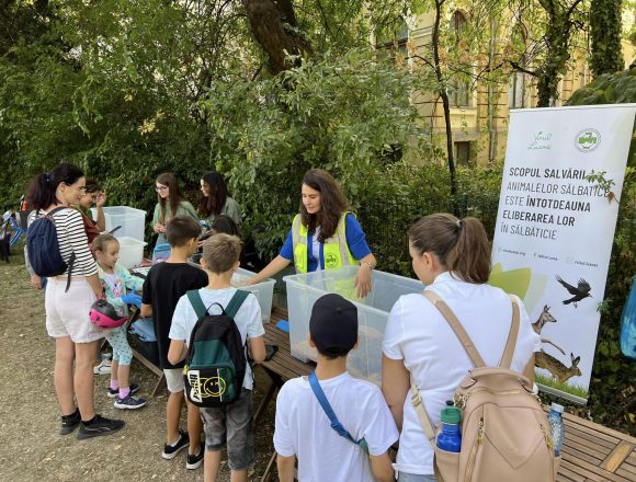PENNY sprijină proiecte de biodiversitate urbană prin Runda IV a Platformei de mediu pentru București