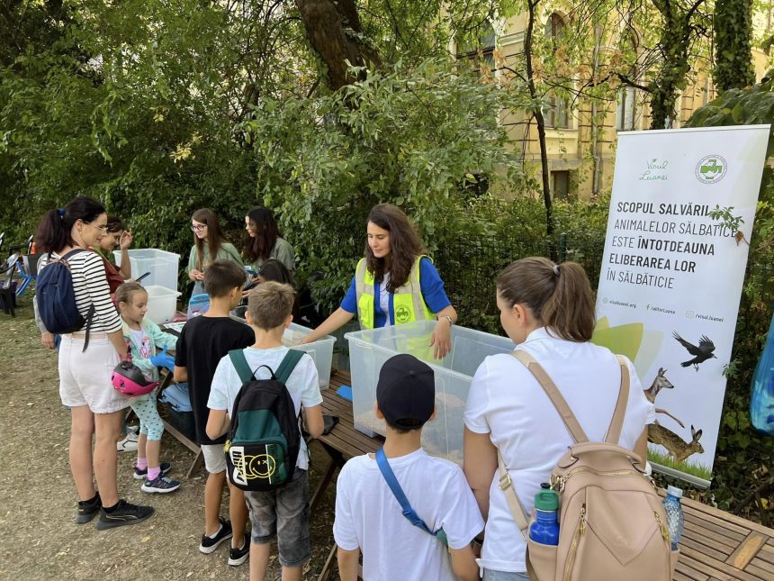 PENNY sprijină proiecte de biodiversitate urbană prin Runda IV a Platformei de mediu pentru București