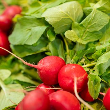 Primele verdețuri românești de anul acesta au ajuns în Piața Lidl