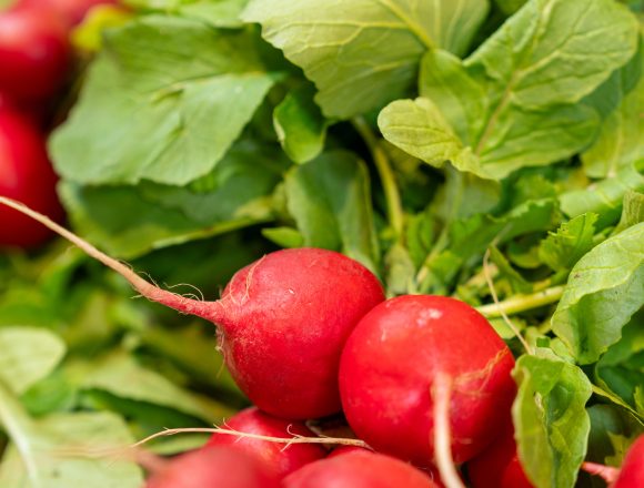 Primele verdețuri românești de anul acesta au ajuns în Piața Lidl