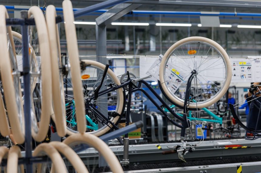 Sute de mii de biciclete „Fabricat în România” ajung anual în rețeaua europeană Decathlon. Anul trecut, peste 800.000 de unități au fost asamblate la fabrica parteneră de la Timișoara
