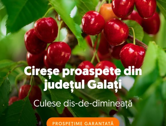 Supermarketul online Sezamo: Numărul clienților care cumpără cireșe a crescut cu 66%