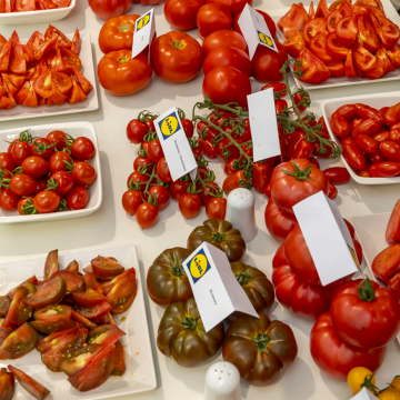 Strategia din spatele rafturilor: cum colaborează Lidl cu producătorii locali pentru a aduce legume românești în magazinele sale